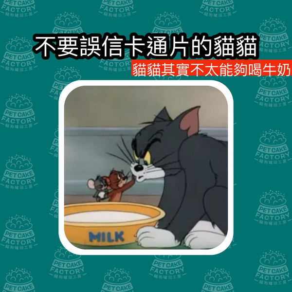 貓貓喜歡喝牛奶嗎？