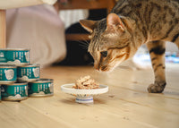 PET CAKE FACTORY 貓狗罐頭工房 吞拿魚 鮪魚 貓罐頭 濕糧 貓食品 貓糧 貓 健康貓糧 醫療費削減 日本貓糧